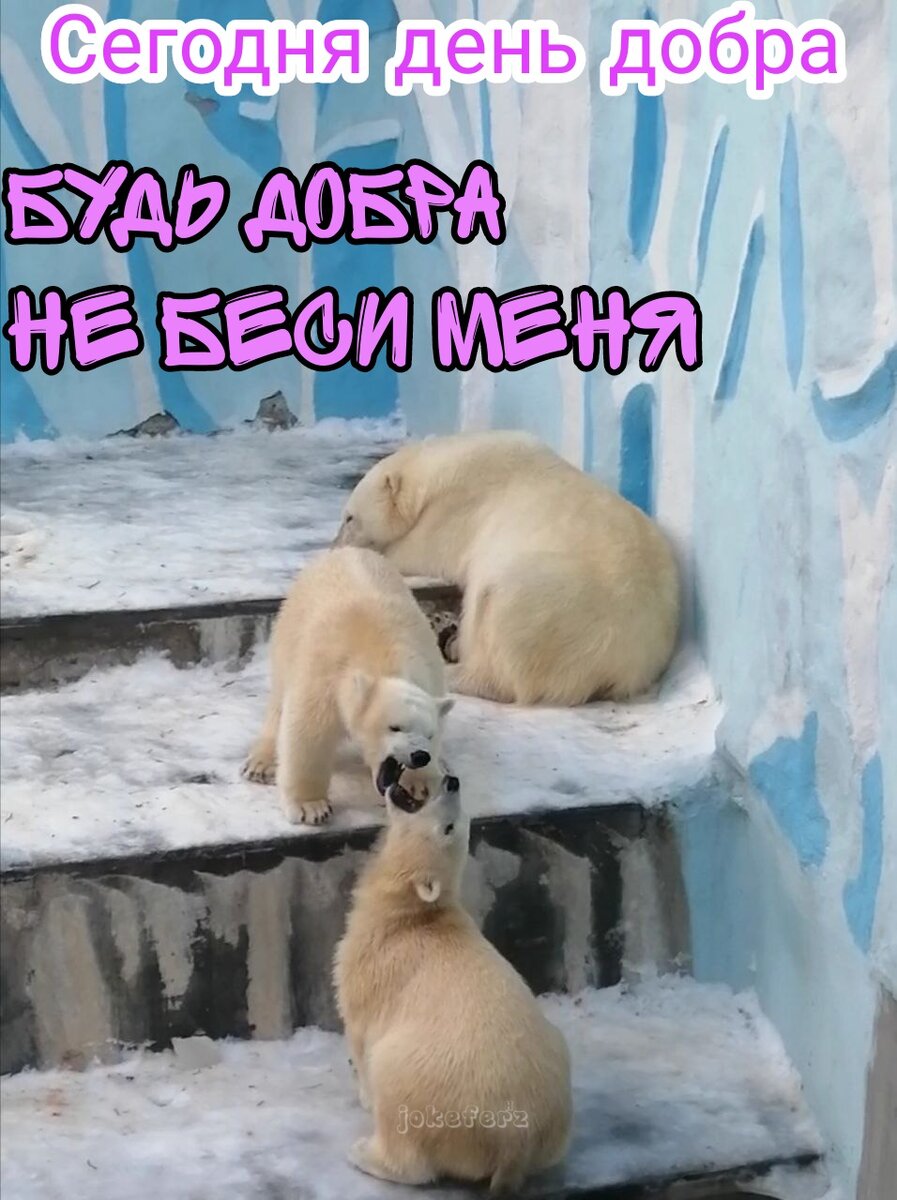 С днём добра