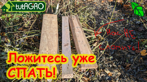 ВСЕ РОЗЫ ПЕРЕЗИМУЮТ! Укрытие нежных растений: зачем, когда, как и чем. Обработка перед укрытием. Укрытие винограда.