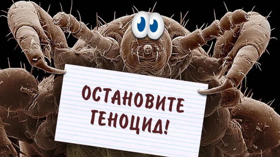 лобковым вшам негде жить. лобковым вшам негде жить. шутки про вшивых. девушка побирается. гретта тунберг довольная.