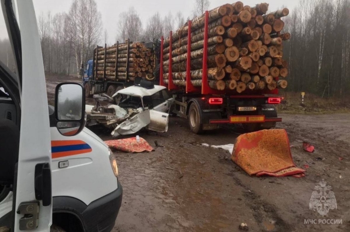    Автомобиль раздавило лесовозом.