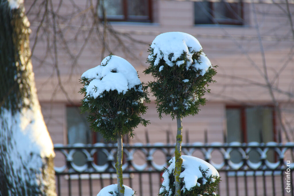    Похолодание начнется с 15 ноября. Наступит метеорологическая зима, установится устойчивый снежный покров.