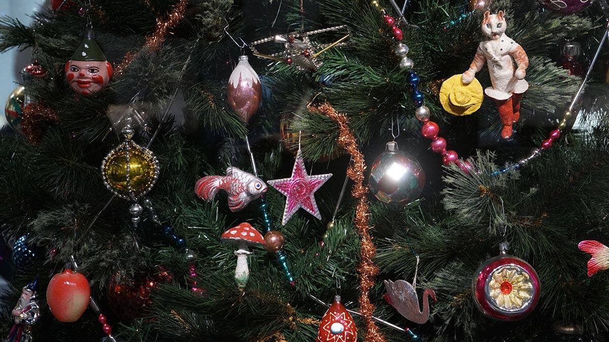    Фото: Анатолий Цымбалюк / Вечерняя Москва