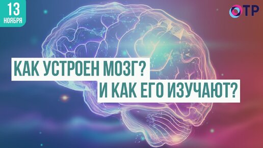 Тайны мозга: Как устроен и как его изучают ученые?