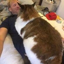 -2