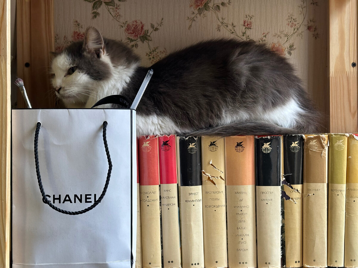 Скоро в продаже: книги, которые я жду | Coffee, books and notebooks | Дзен