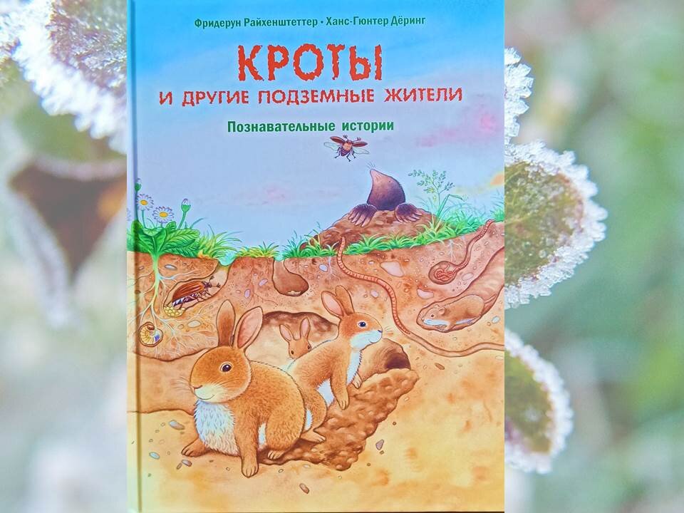 Издательство Энас-книга, 2021