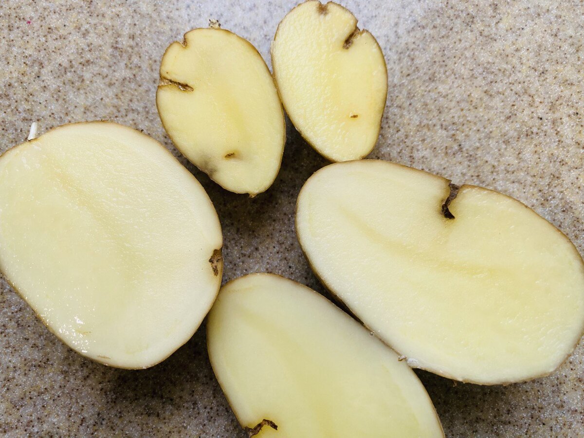 картофель поеденный проволочником