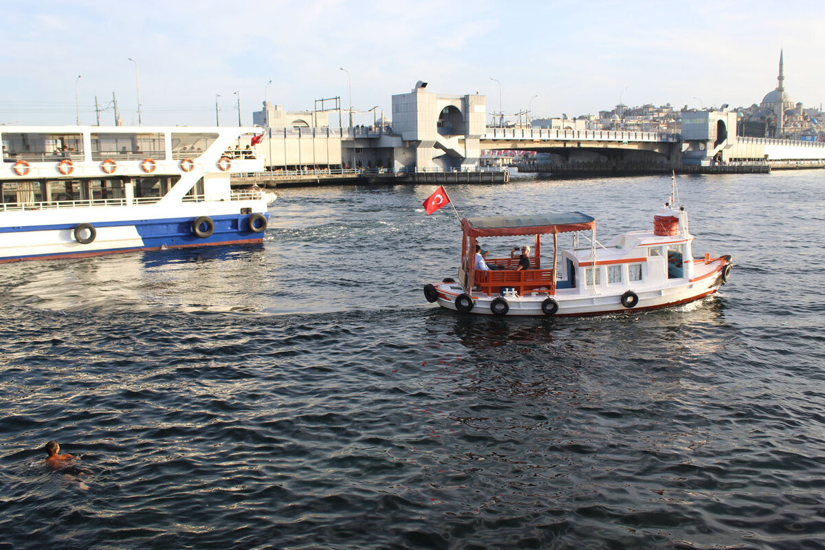 Вот: купается прямо у Галатского моста!