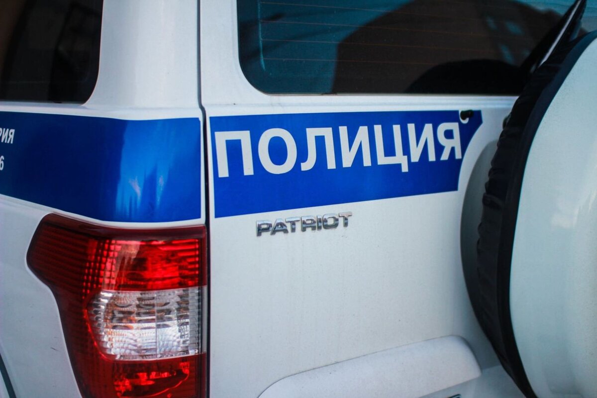 Фото: Илья Тушев / "Вести Подмосковья"