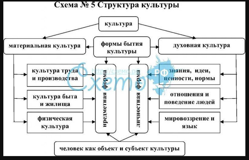 На какие виды делится культура