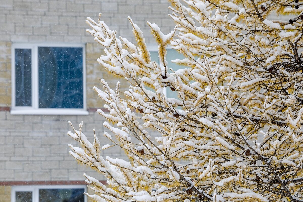    В Югру придет резкое похолодание
