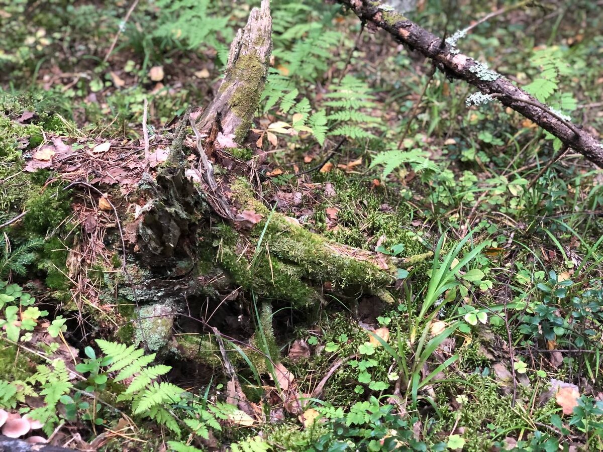 Фото из личного архива