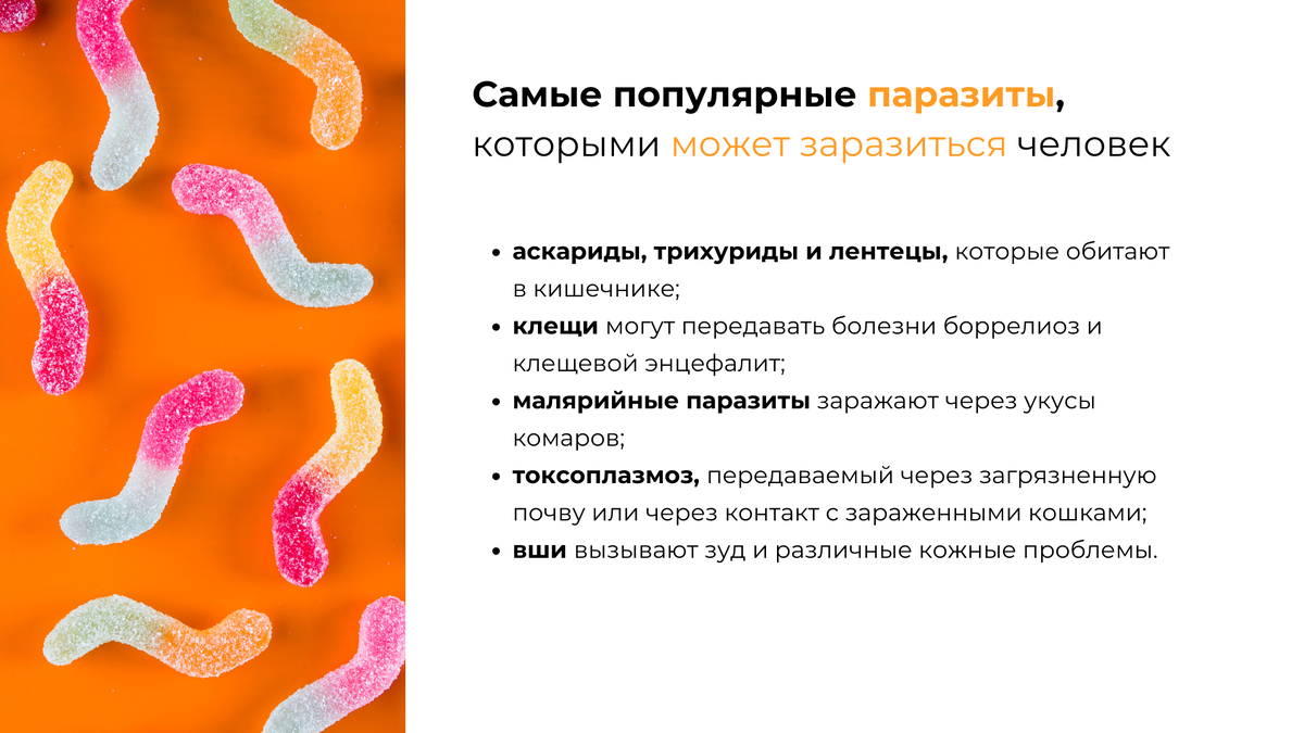 Симптомы паразитов форум. Глистные заболевания паразиты. Симптомы паразитов форум. Признаки глиста в организме. Симптомы паразитов форум.