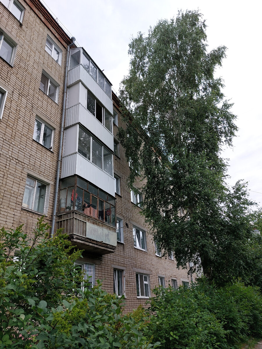 Дерево закрывает естественный дневной свет