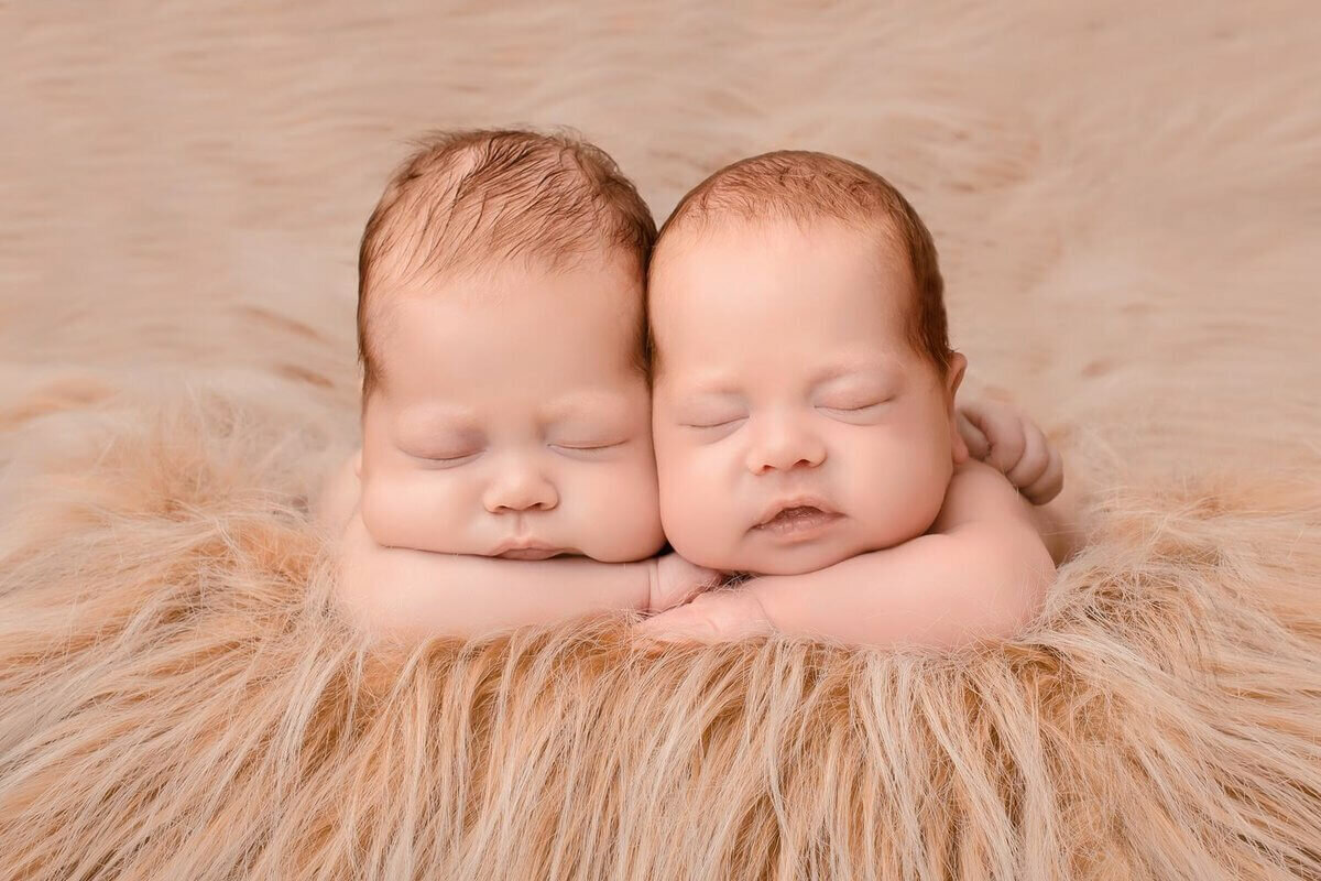 близнецы фото из интернет