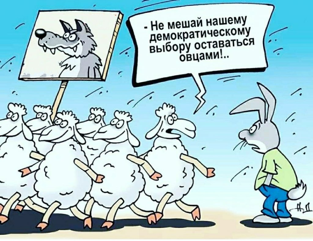 выбор карикатура. смешные карикатуры про выборы. участие в выборах. прикольные видео про выборы. смешные картинки про выборы.