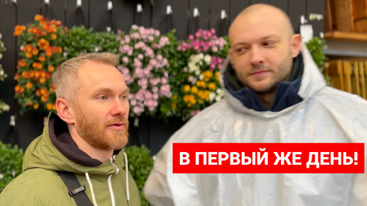 Джуниор-программист уничтожил свою компанию! | Миша Ларченко | Дзен