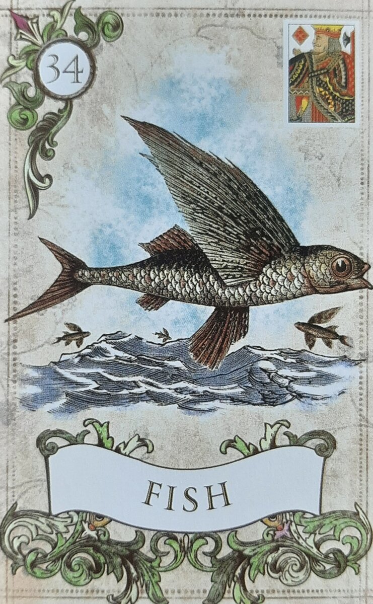 Изучение прорицательного инструмента - Оракула Ленорман. Карта 34 Рыбы. |  перевод с ТАРО на русский | Дзен