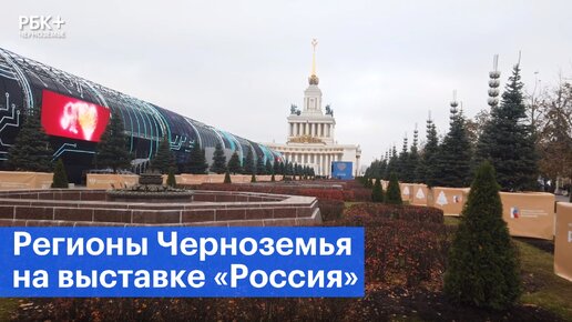 Какие достижения представили регионы Черноземья на выставке «Россия»