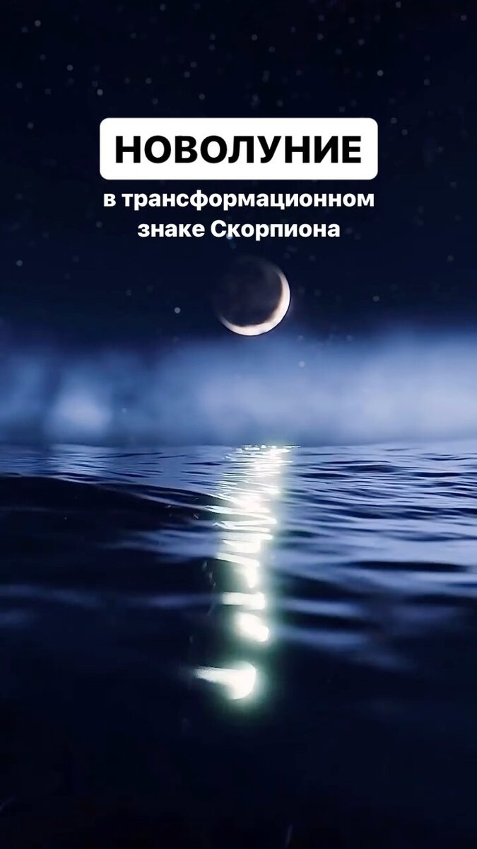 Сегодня, 13 ноября - Новолуние в Скорпионе: как справиться с напряжением? |  Астролог Павел Андреев | Дзен