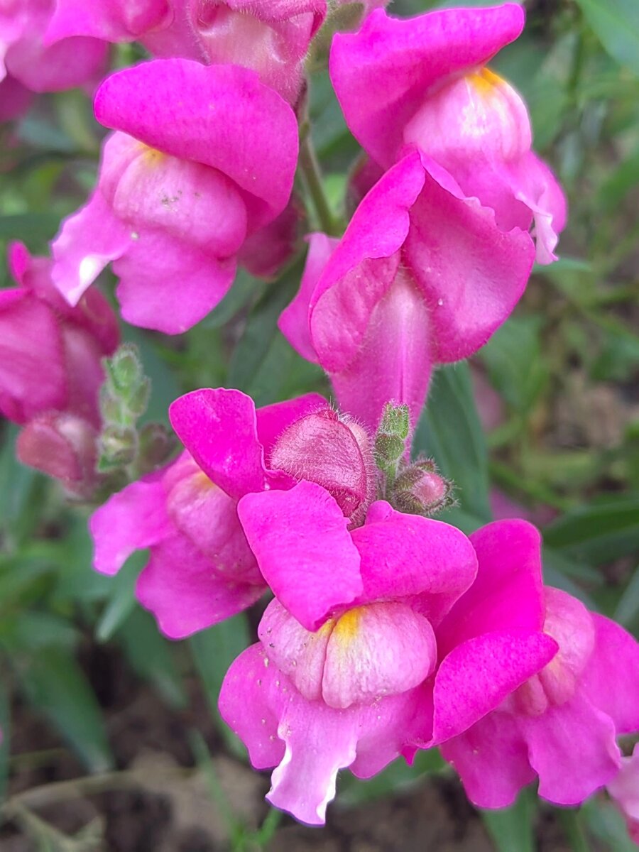 Фото автора.Сезон 2023..