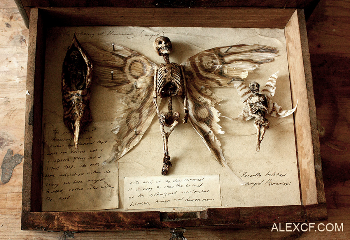 Источник фото https://merrylinmuseum.squarespace.com