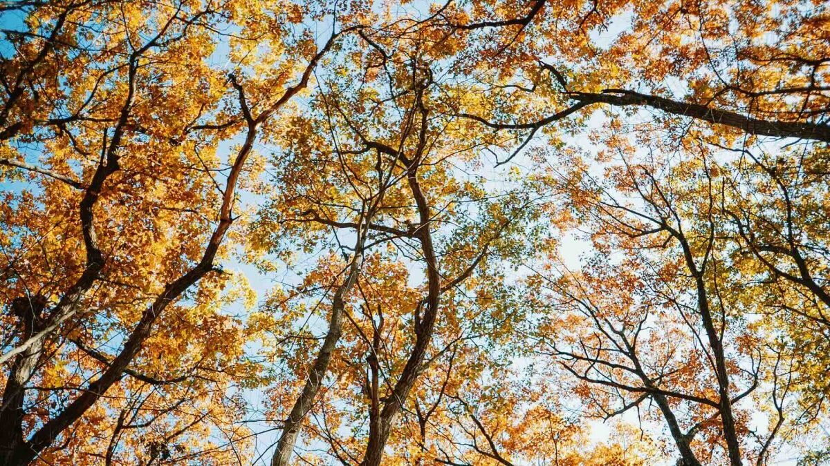    Фото: Unsplash Рашид Ахмежанов