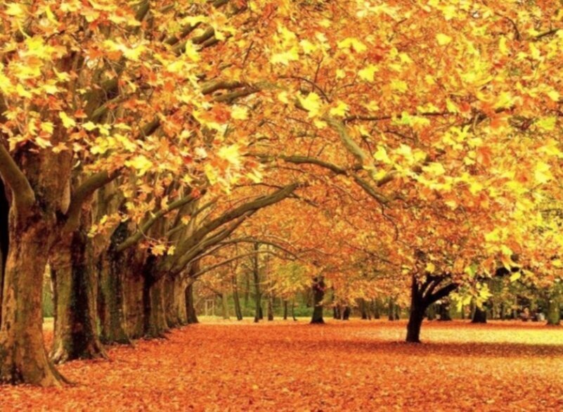 Тайна осени