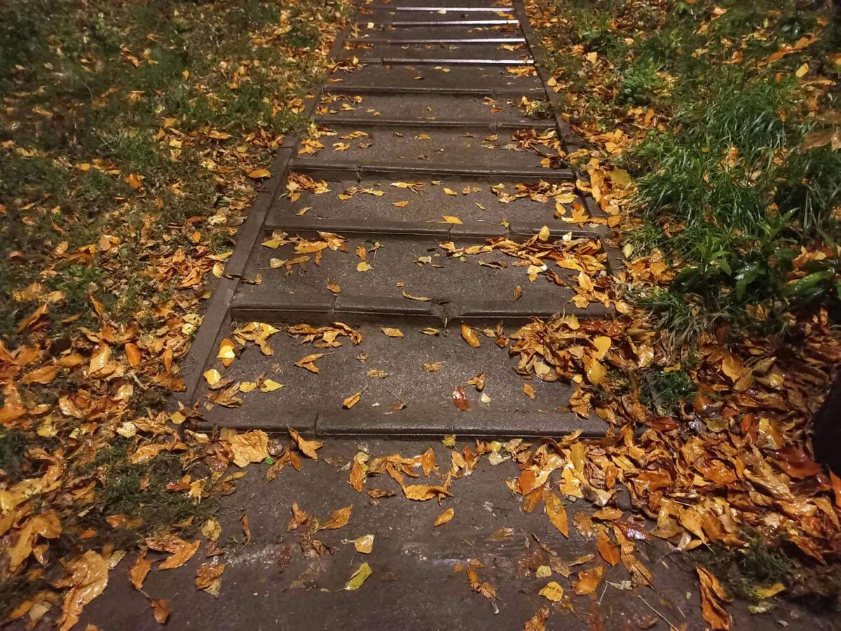 Фото автора.