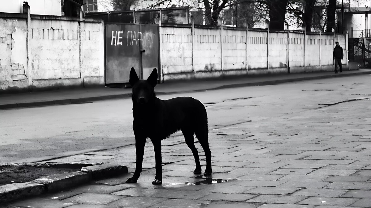     В поселке Федоровский Сургутского района изначально непроявлявшая агрессию собака внезапно накинулась на семилетнего ребенка и порвала ей лицо. Администрация проводит расследование.