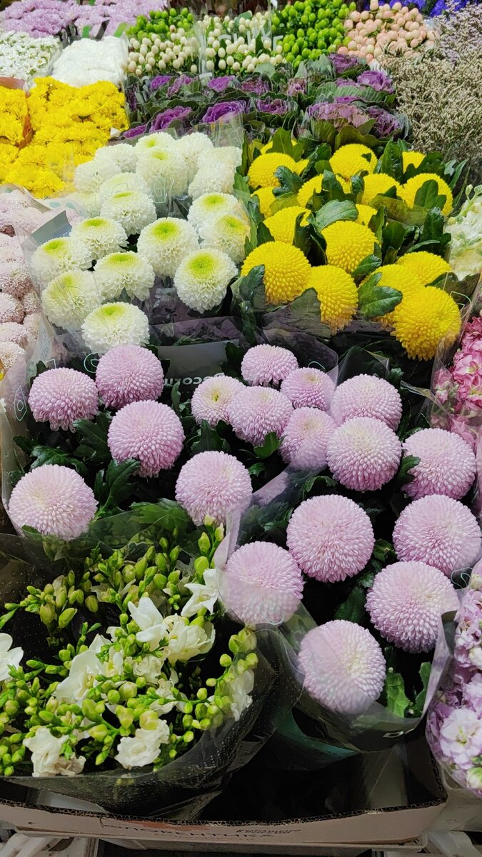 Цветы для настроения. Рижский рынок. 
