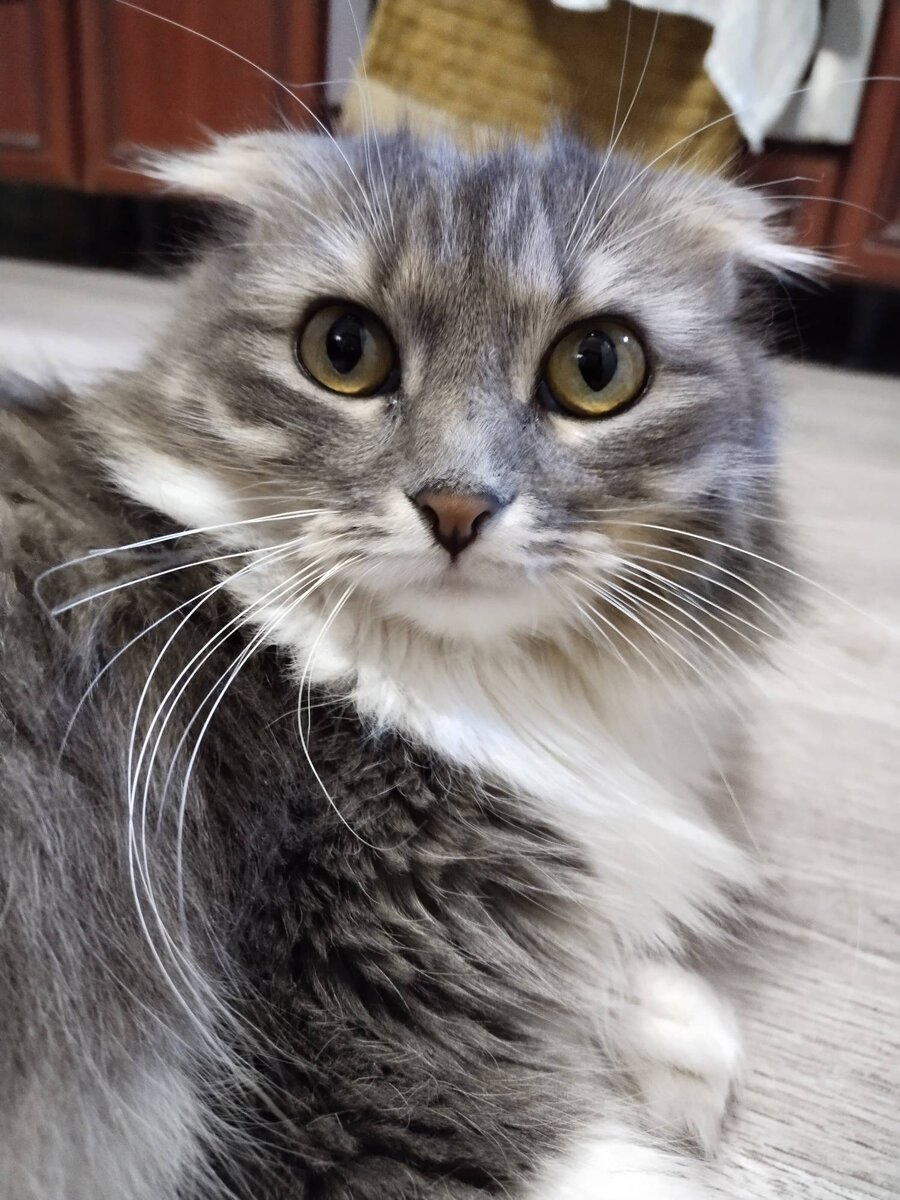 Расторгуева мы не трогали!