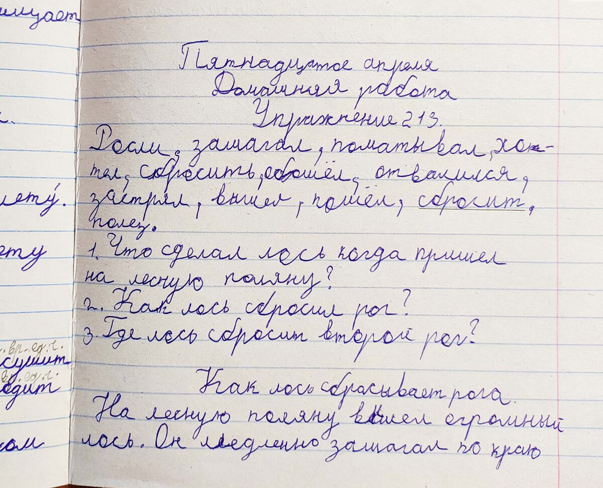 Учитель снижает оценки из-за клеточек, это нормально? Ребенка выгнали из  класса, мне никто не позвонил. Школьные вопросы от родителей | Большая 7 -  Я | Дзен