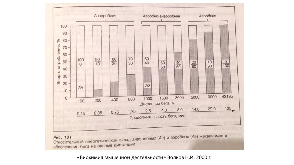 Рисунок 1. Три группы упражнений, разделенные по вкладам механизмов энергообеспечения на примере бега.
