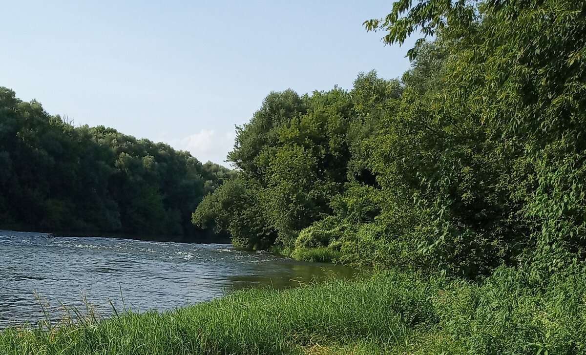 "Сменяет ночь на утро белый день, а нём всё так же движется река. Так пусть ошибок мимолётных тень не осквернит у речки жизни берега..." (Фото из личного архива автора. Река Дон с перекатами в Задонском районе Липецкой области)