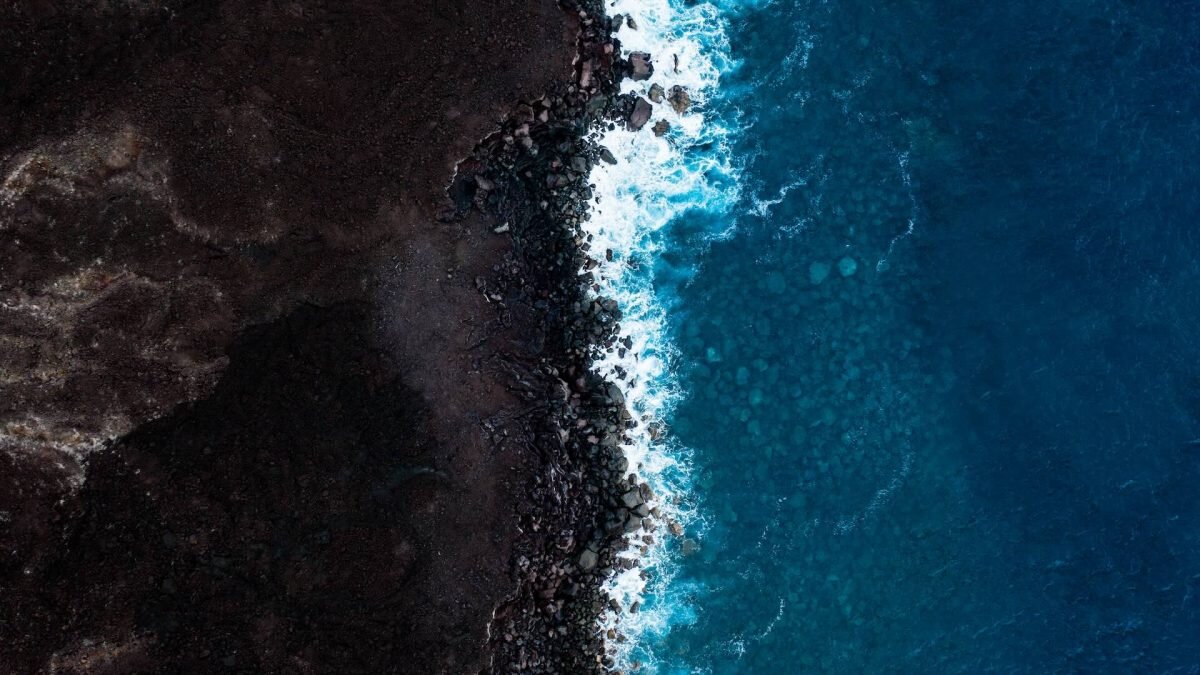    Фото: Unsplash Август Макаров