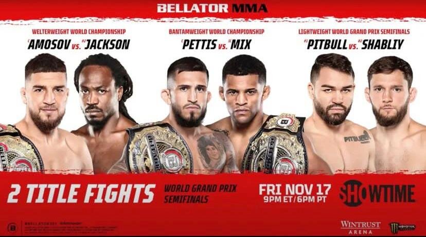     Bellator 301