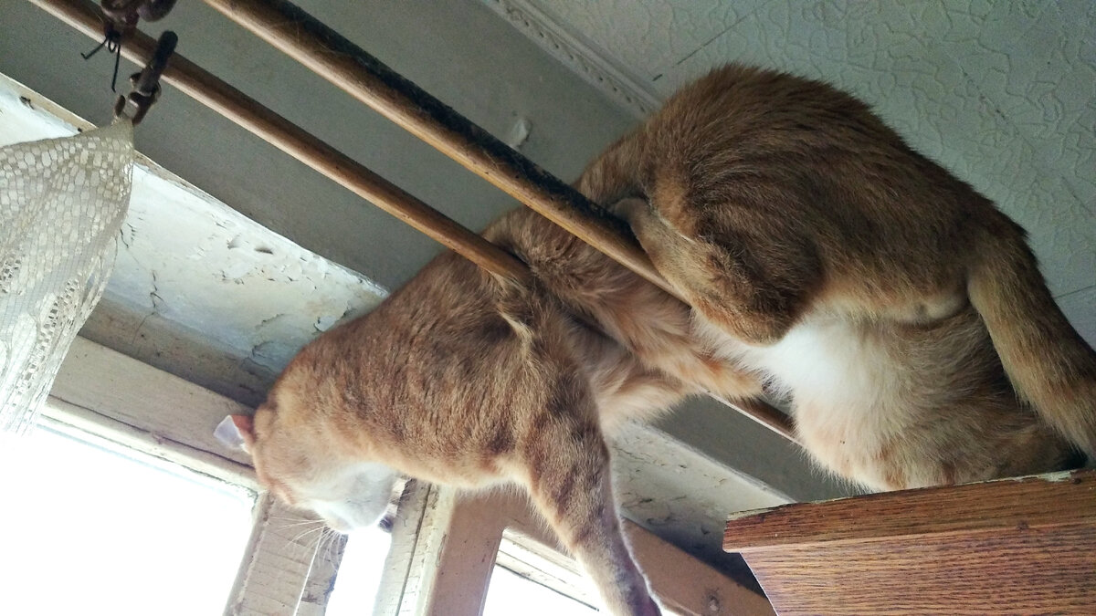 Личное  фото