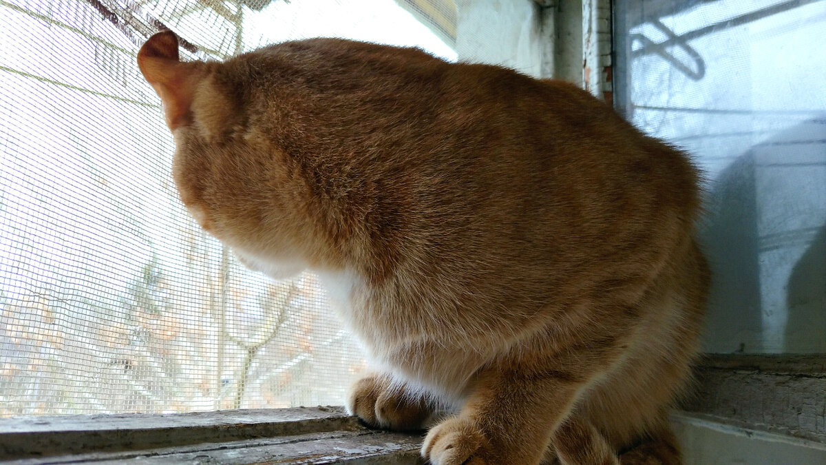 Личное  фото