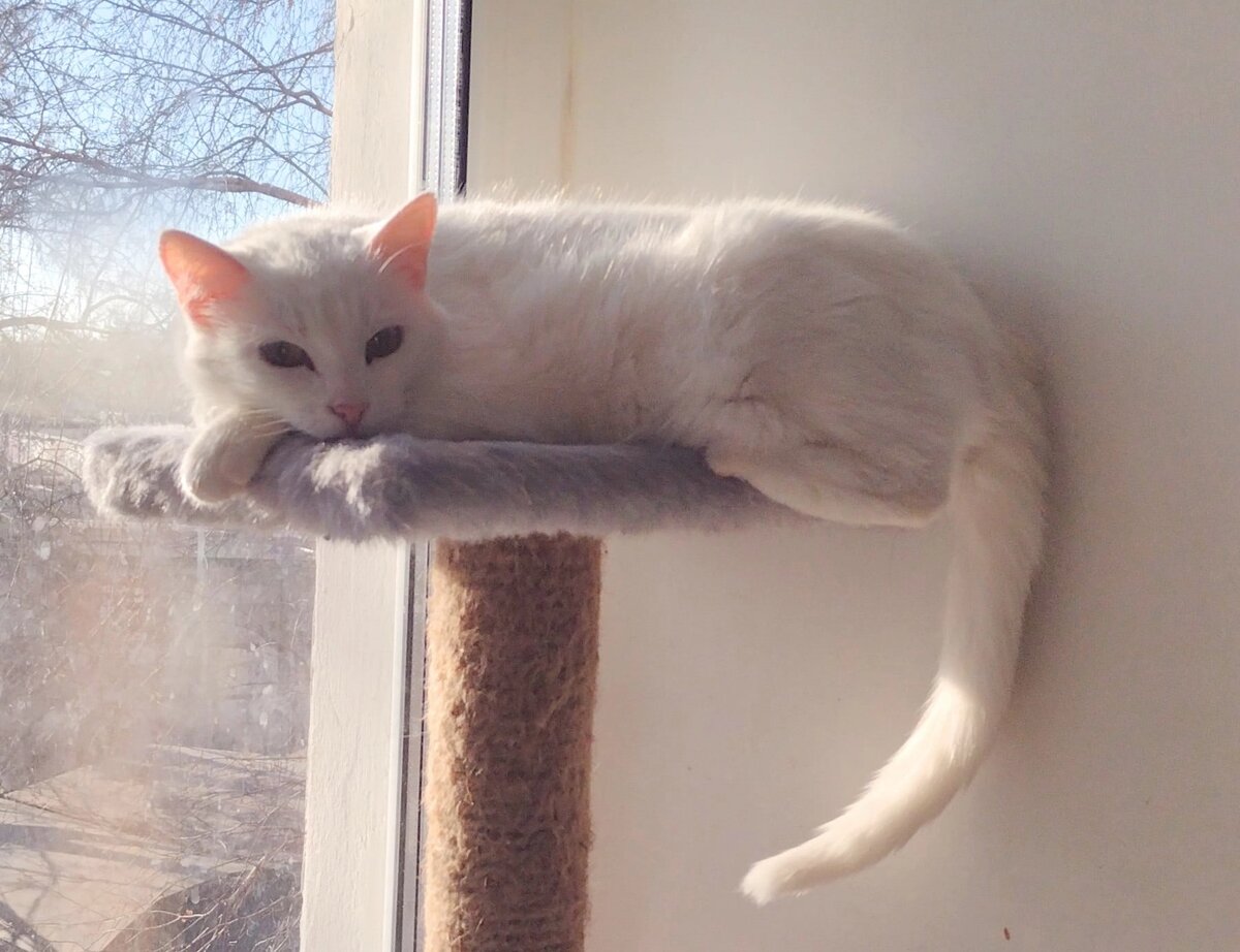 Ее можно сфотографировать только издалека