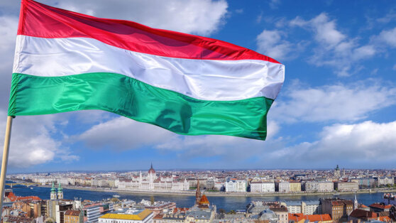    Венгрия выступила против выделения 500 миллионов евро Украине Егор Ильяшов
