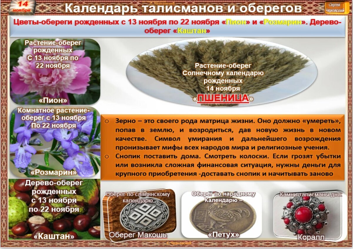 14 ноября приметы и традиции. 16 ноября приметы и ритуалы. 14 ноября приметы и традиции. 14 ноября приметы и традиции. 14 ноября приметы и традиции.