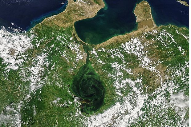    Фото: NASA Earth / Keystone Press Agency / Globallookpress.com