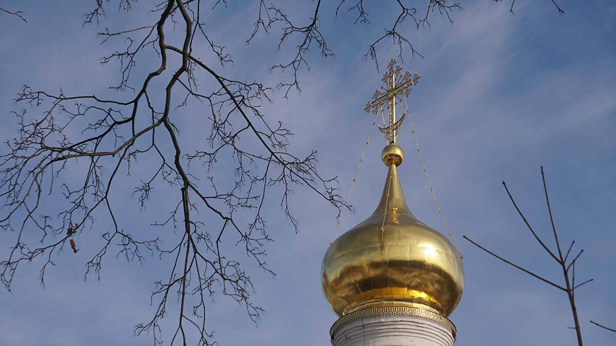    Фото: Анатолий Цымбалюк / Вечерняя Москва