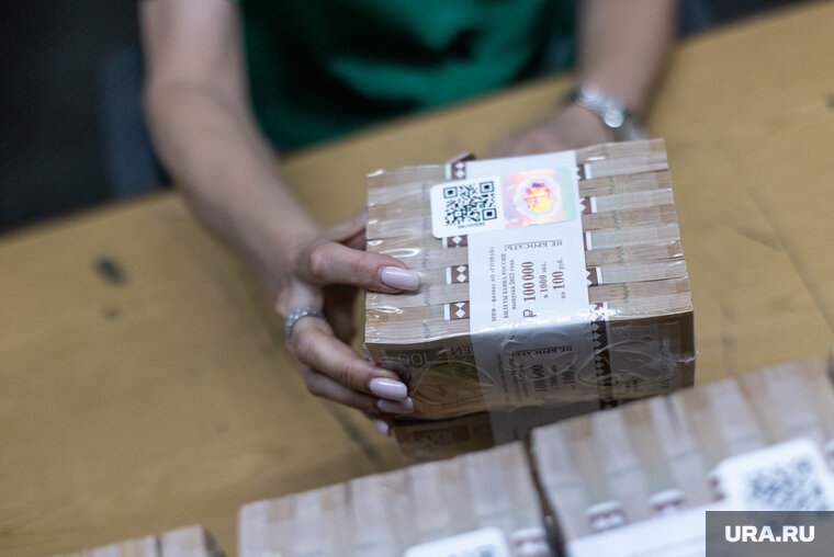    Курганская компания по продаже спецтехники резко увеличила прибыль