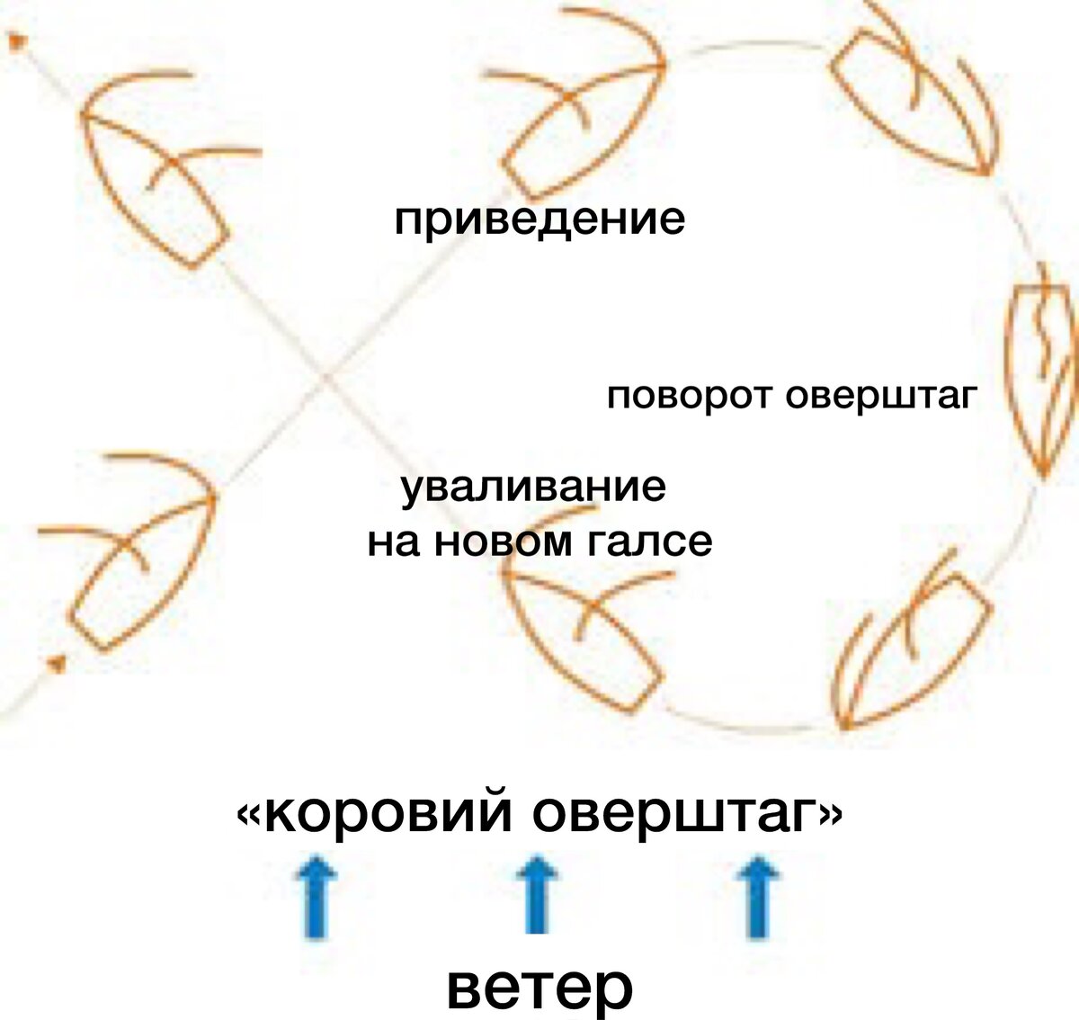 Урок 6. Курсы, относительно ветра. Галсы. Маневры под парусами | ⛵️Уроки  парусного мастерства | Дзен