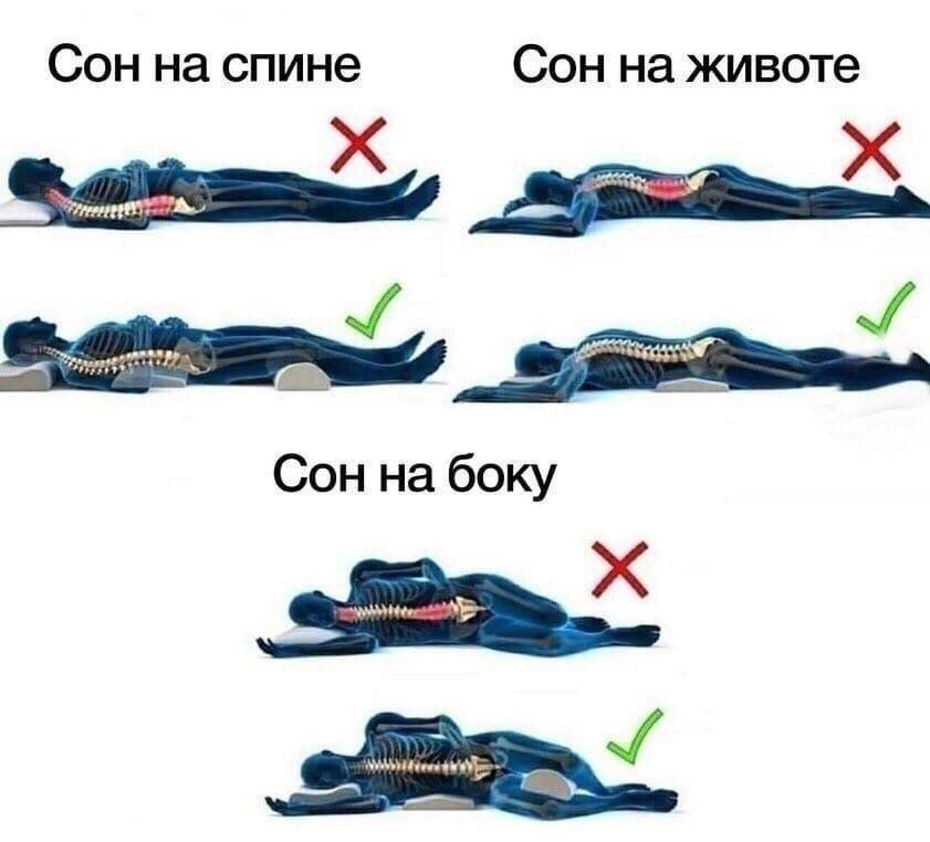 Проекция позвоночника в разных положениях