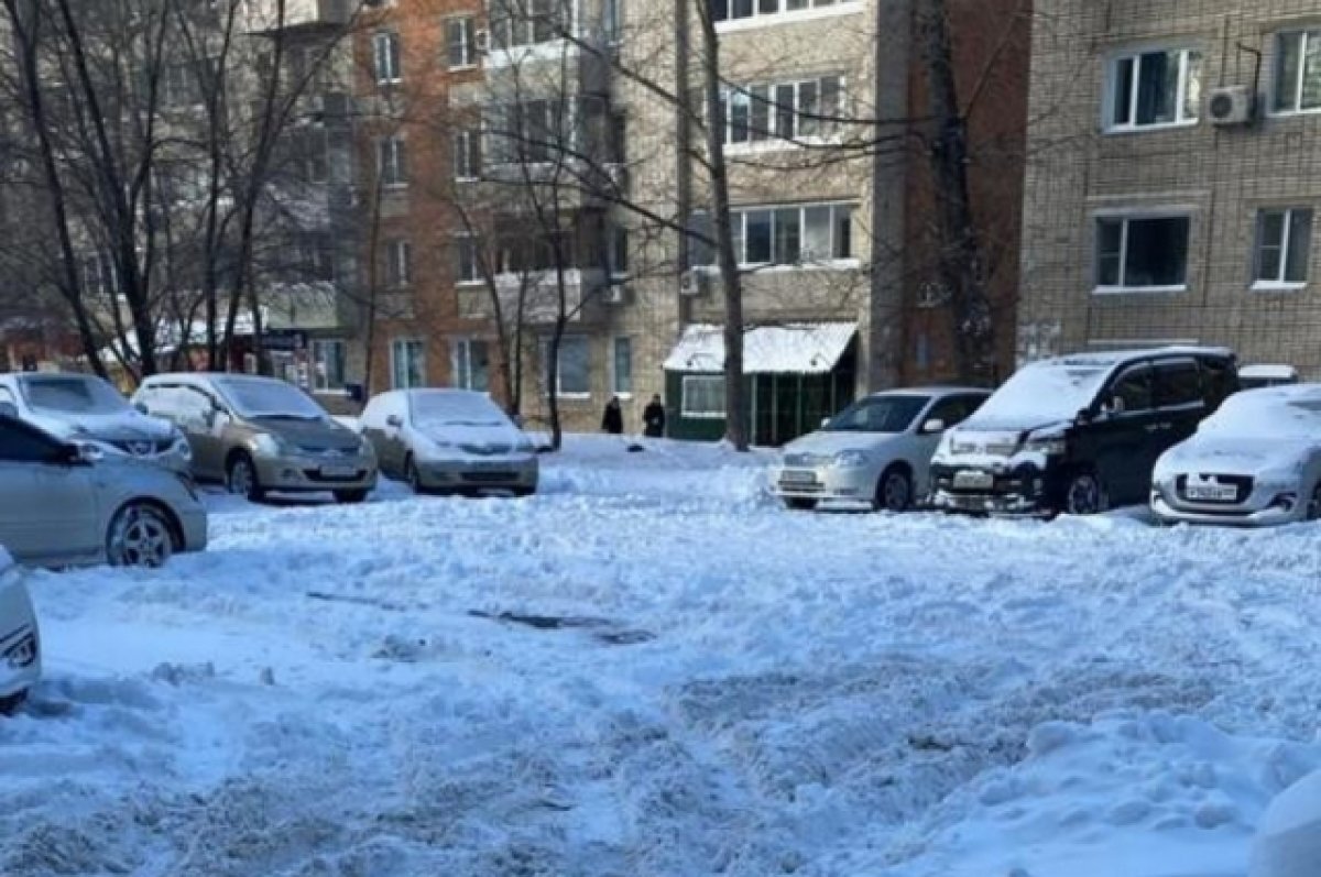    В Хабаровск в пятницу придет очередной сильный циклон с мокрым снегом