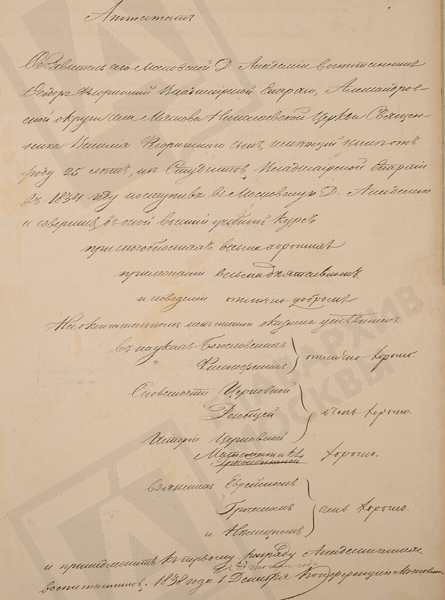 История семьи (29): самое образованное сословие Российской империи. Из  опыта поиска предков | Academia-nadezhda | Дзен