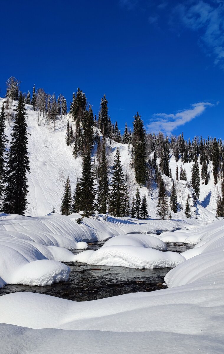 зимний пейзаж